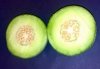 Fresh Cantaloup