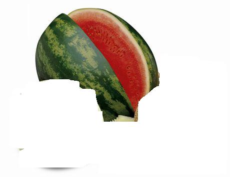 Melon
