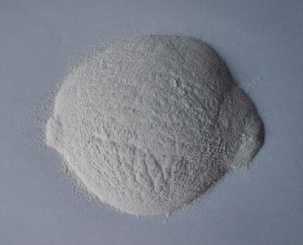 Garlic powder
