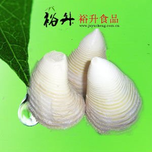 canned bamboo shoot
