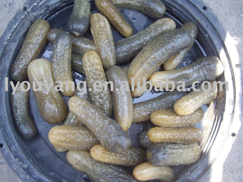 salted cucumber