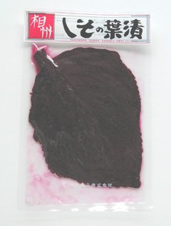 The leaf of the perilla