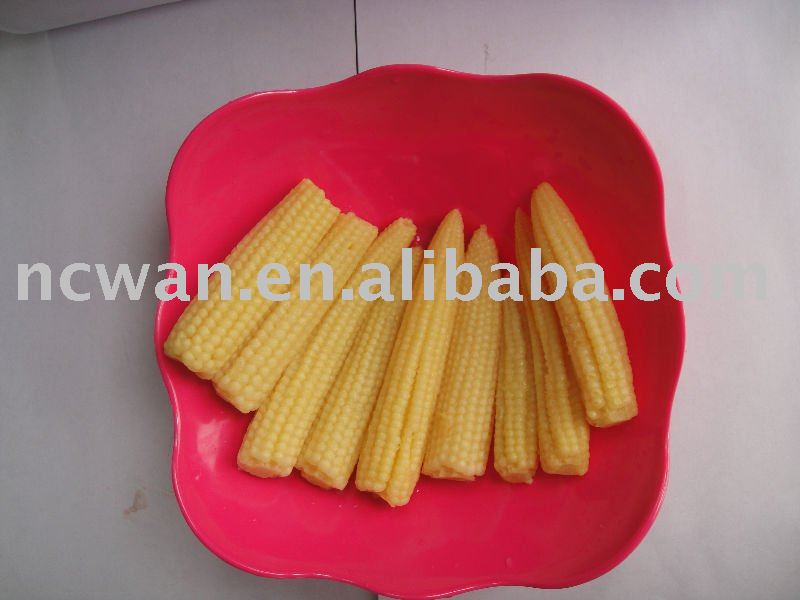 Canned Baby Corn, whole, 425g, canned food