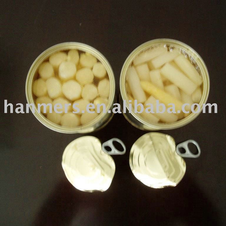 canned green white asparagus spear