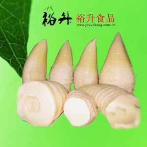 canned bamboo shoot in water