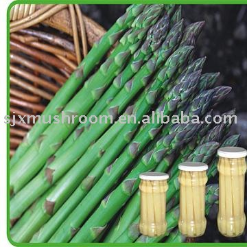 canned asparagus