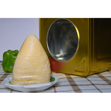 Boiled Bamboo Shoots