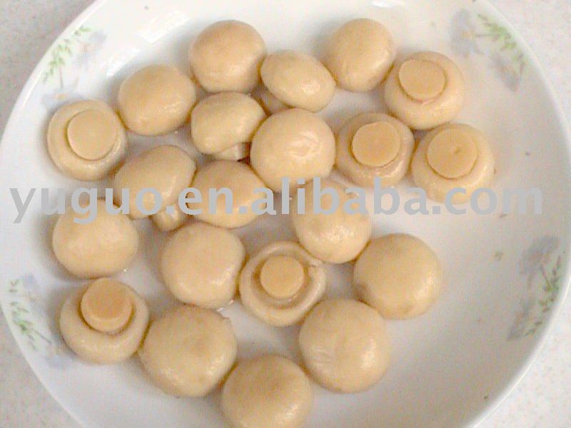 MUSHROOMS PIECES & STEMS