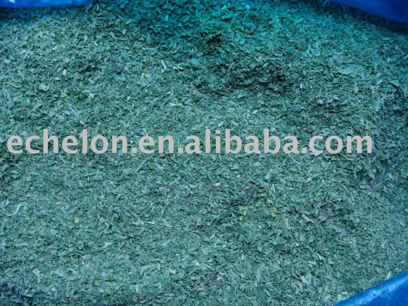 IQF DICED PARSLEY LEAF