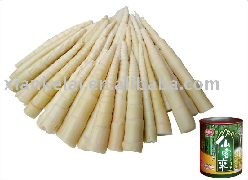 bamboo shoot