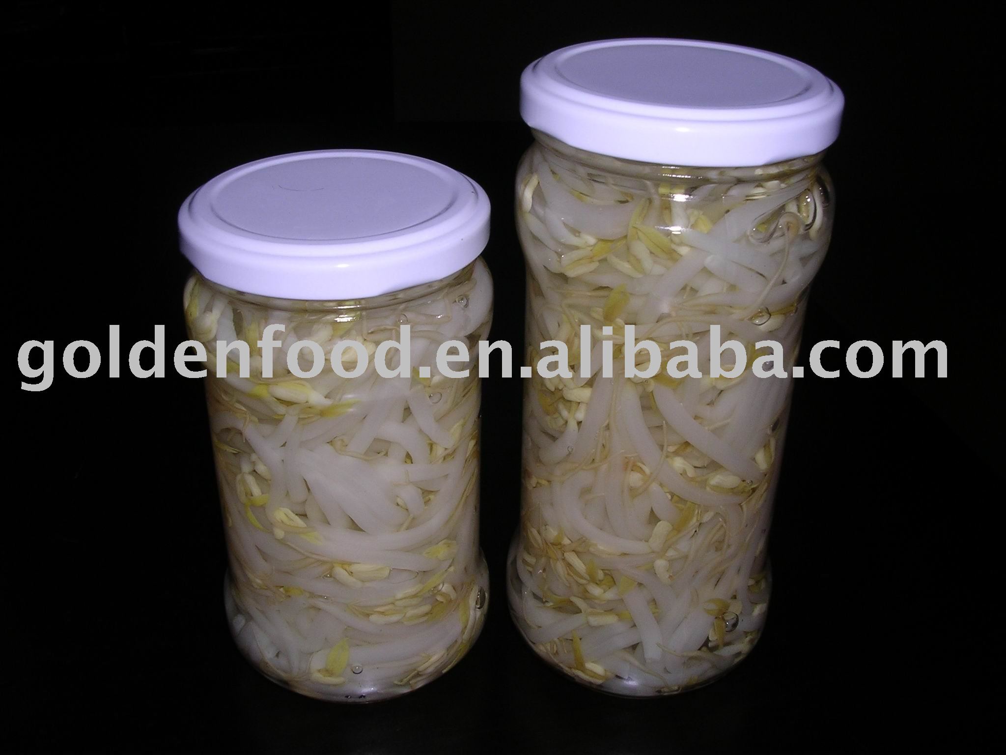 canned bean sprout vegetable