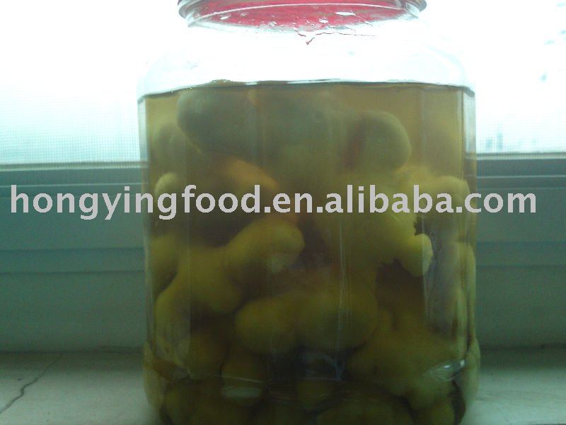 salted ginger