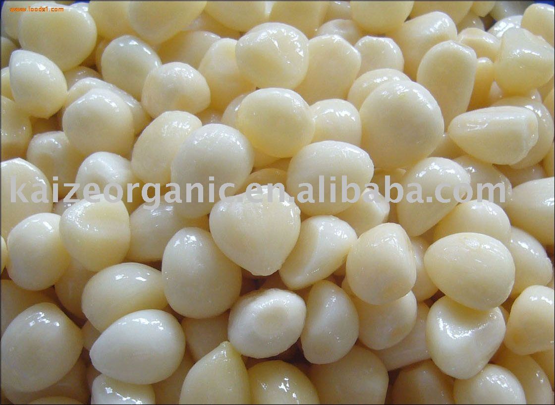 organic garlic segment in brine