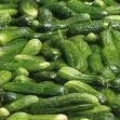 Pickled Cucumber Cheap Price