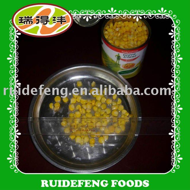 canned sweet corn EO and NL