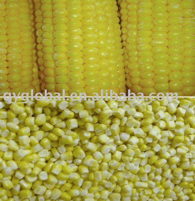 New Crop Frozen Sweet Corn Kernel