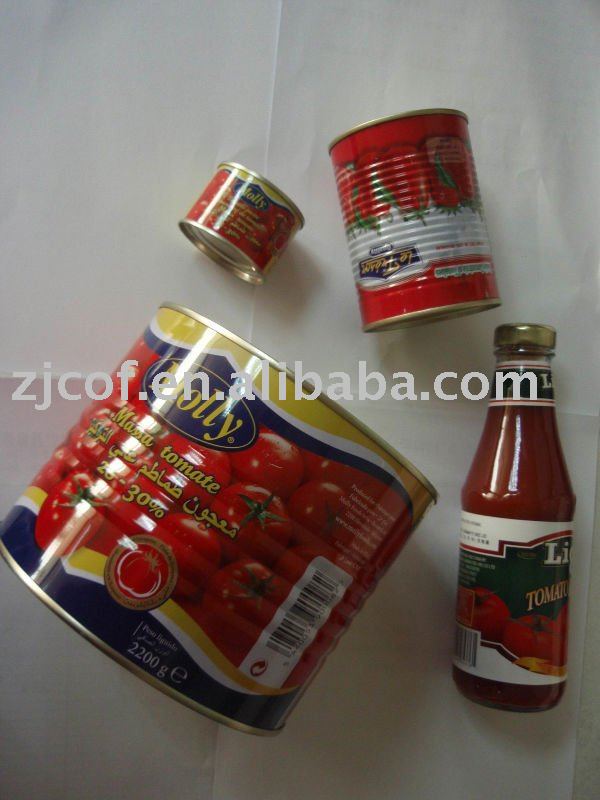 tomato paste & tomato ketchup