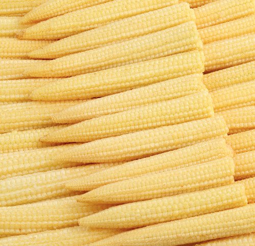 Canned Baby Corn