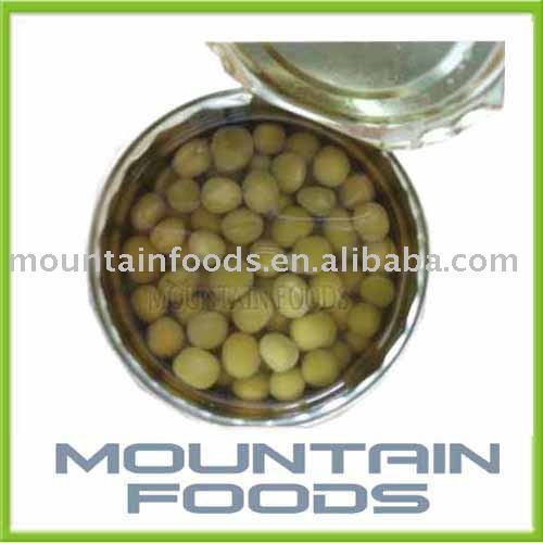 Canned Vegetable / Canned green bean