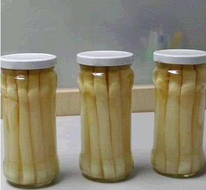 Canned white asparagus 2011 fresh asparagus
