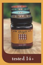 active organic manuka honey tested 14 +