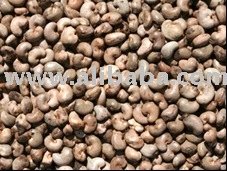 CASHEW NUT