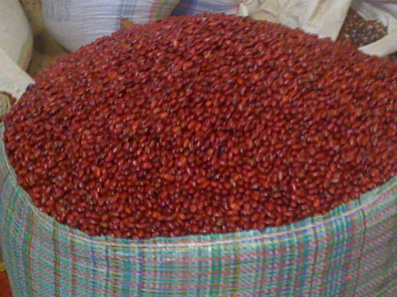 beans