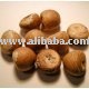 cashew  nuts.  all  sizes  both raw  and    finished