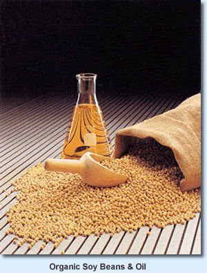 soya beans