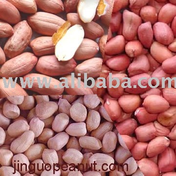 Peanuts Kernels
