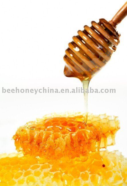 Sunflower Honey