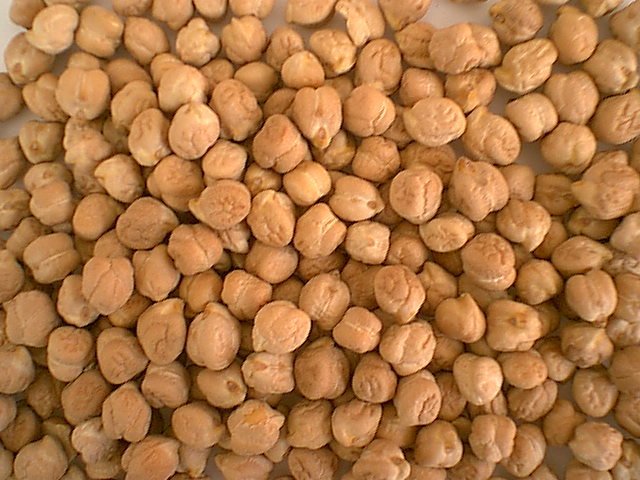 Chick Pea