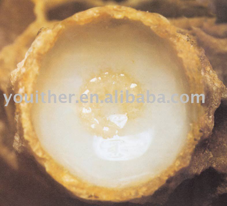 Natural Royal Jelly