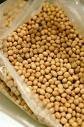 Soybean, Soybean meal and Soybean Oil.