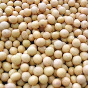 Organic and Non-GMO Soya and grains, By-products including soy  meal  and soy oi