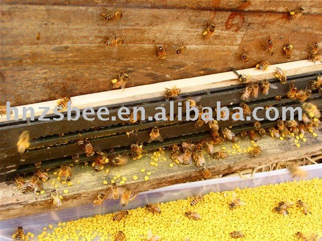 2011 honey rape pollen