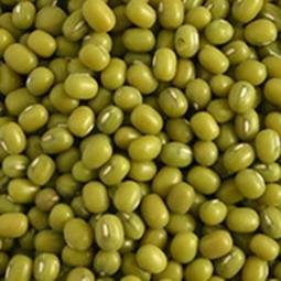 Green Mung beans for sale