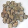 Cashew Nuts