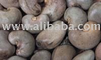 Raw  Cashew   Nuts 