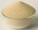 Premium Quality Soybean meal