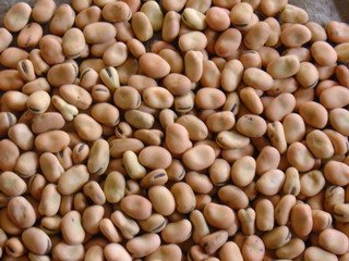 Broad beans