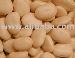 Lima beans