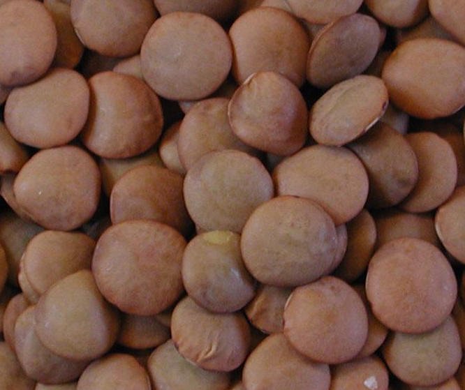 lentils