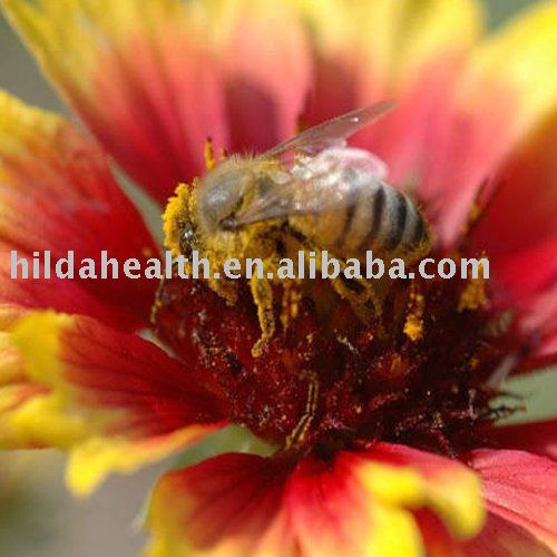 Organic natural acacia Honey