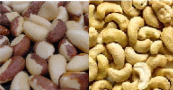  Brazil  Nuts And Cashew Nuts