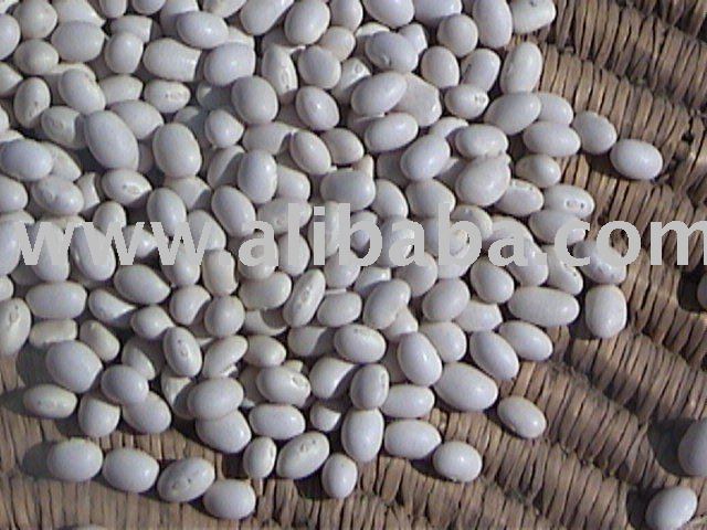 Ethiopian  White  Pea Beans