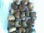 Raw cashew nut