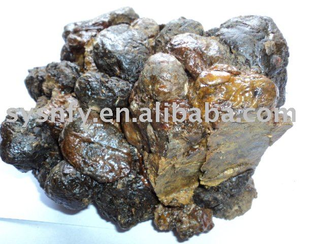  Best  Bee   Propolis 