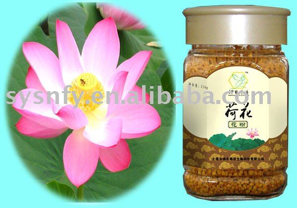 honey bee pollen