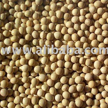 soybeans